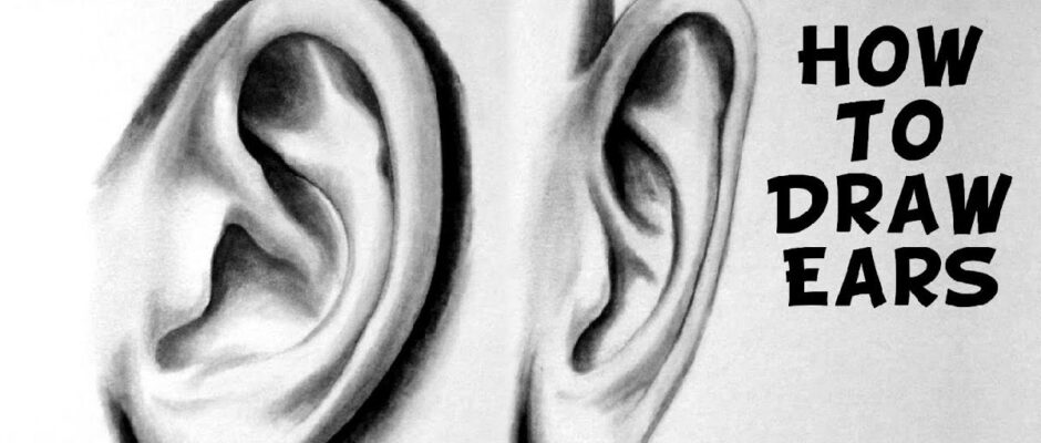 drawing_neupfszokuo= ear
